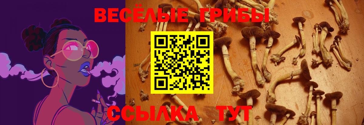 Галлюциногенные грибы MAGIC MUSHROOMS Лениногорск